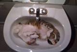 Luther in the sink